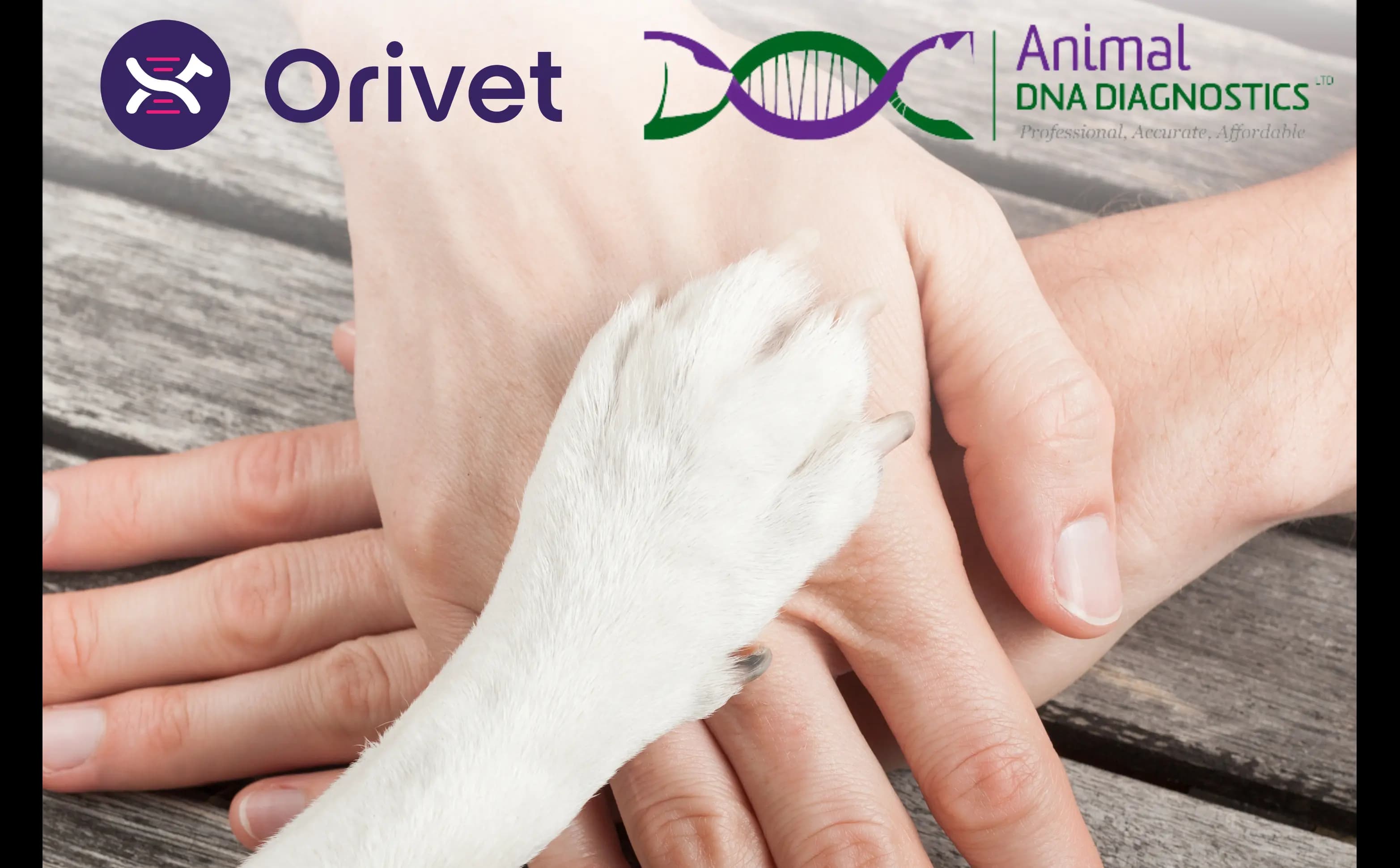  Animal DNA Diagnostics Acquired by Orivet!