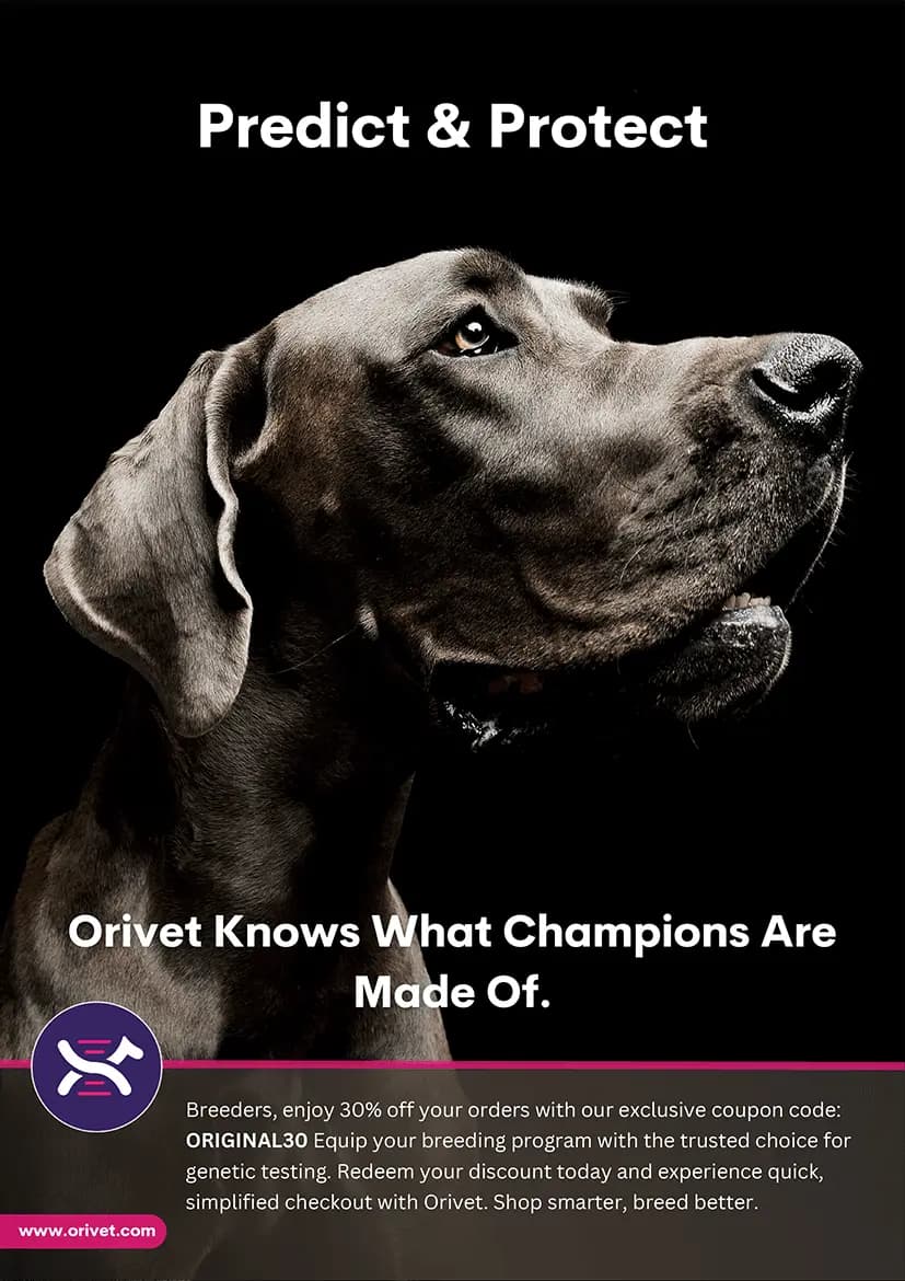 Orivet Knows what champions are made of